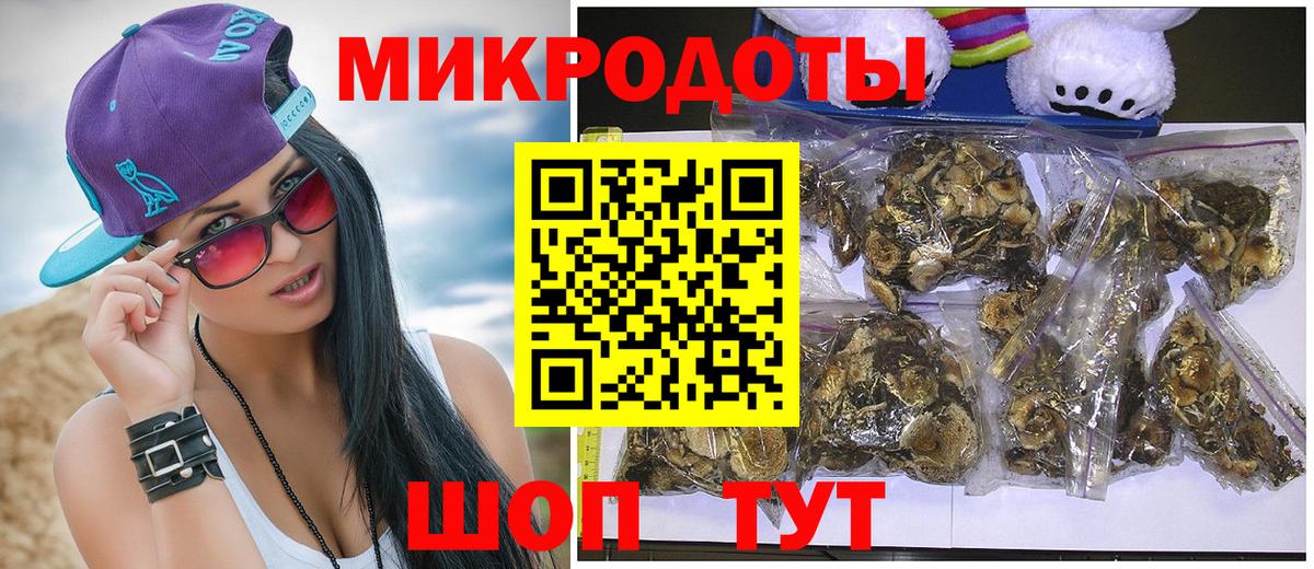 Псилоцибиновые грибы мухоморы Фрязино