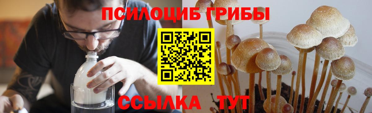 Галлюциногенные грибы MAGIC MUSHROOMS  Галлюциногенные грибы Psilocybine cubensis  Вход с VPN  Фрязино 